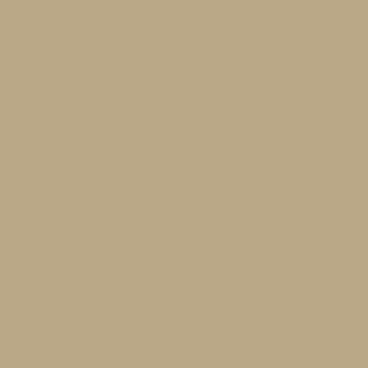 Huntington Beige HC-21